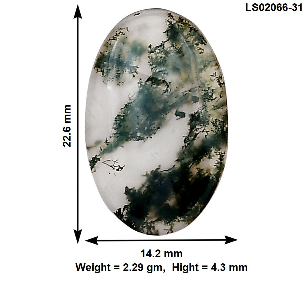 Natural Green Moss Agate 22.6×14.2×4.3 mm Oval Polished Gemstone LS02066-31