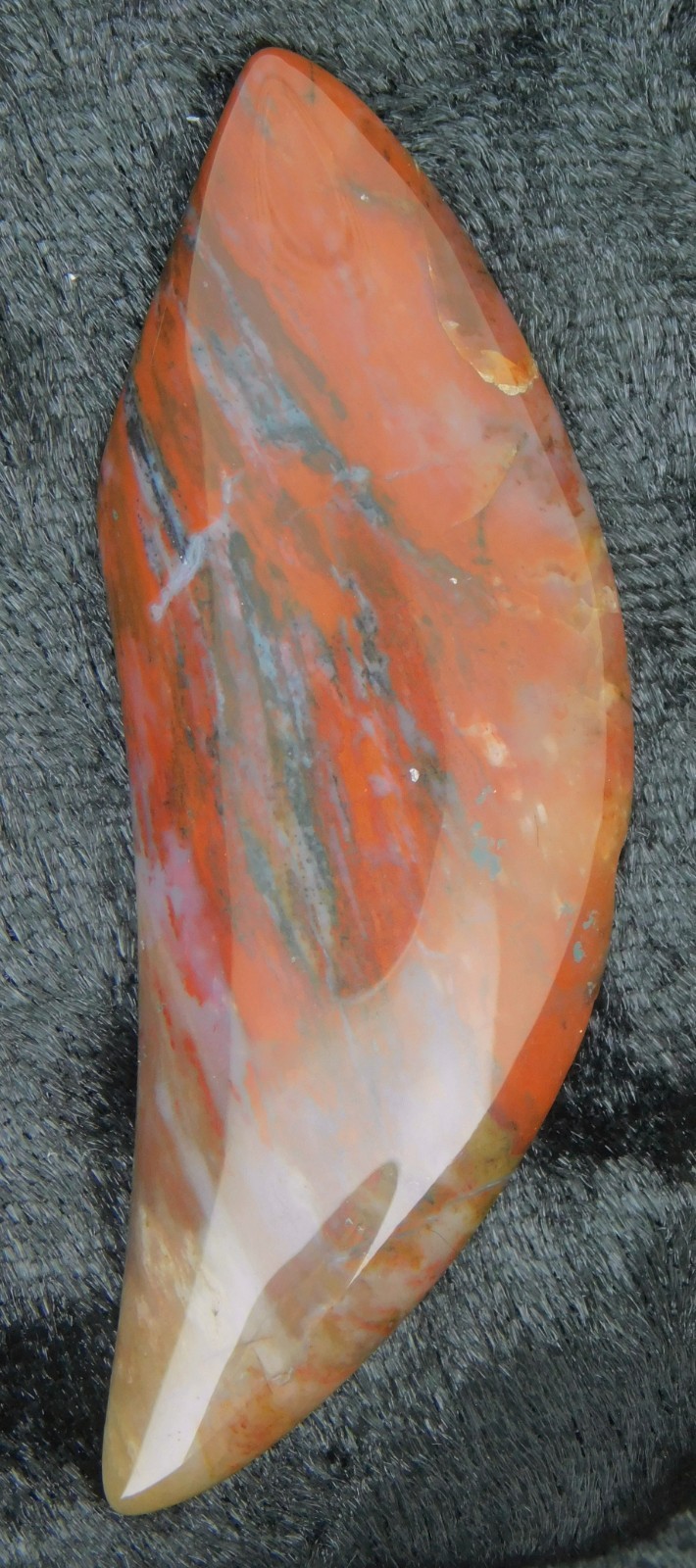 Rio Grande Petrified Wood 55x19x4.5 Cabochon