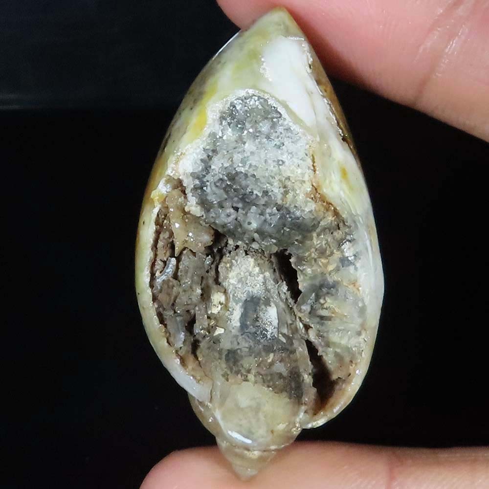 Natural Fossil SNAIL DRUZY Desert Druzy Gemstone 129.35 Cts 24x50x19 mm MS102