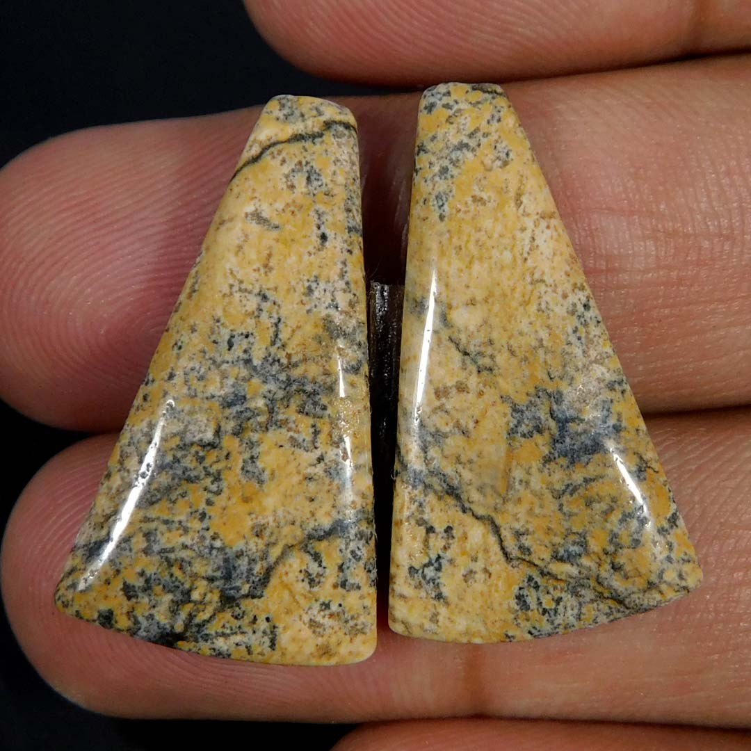 Wholesale 18.75Cts. Natural Fabulous Picture Jasper Pair Fancy Cabochon Gemstone