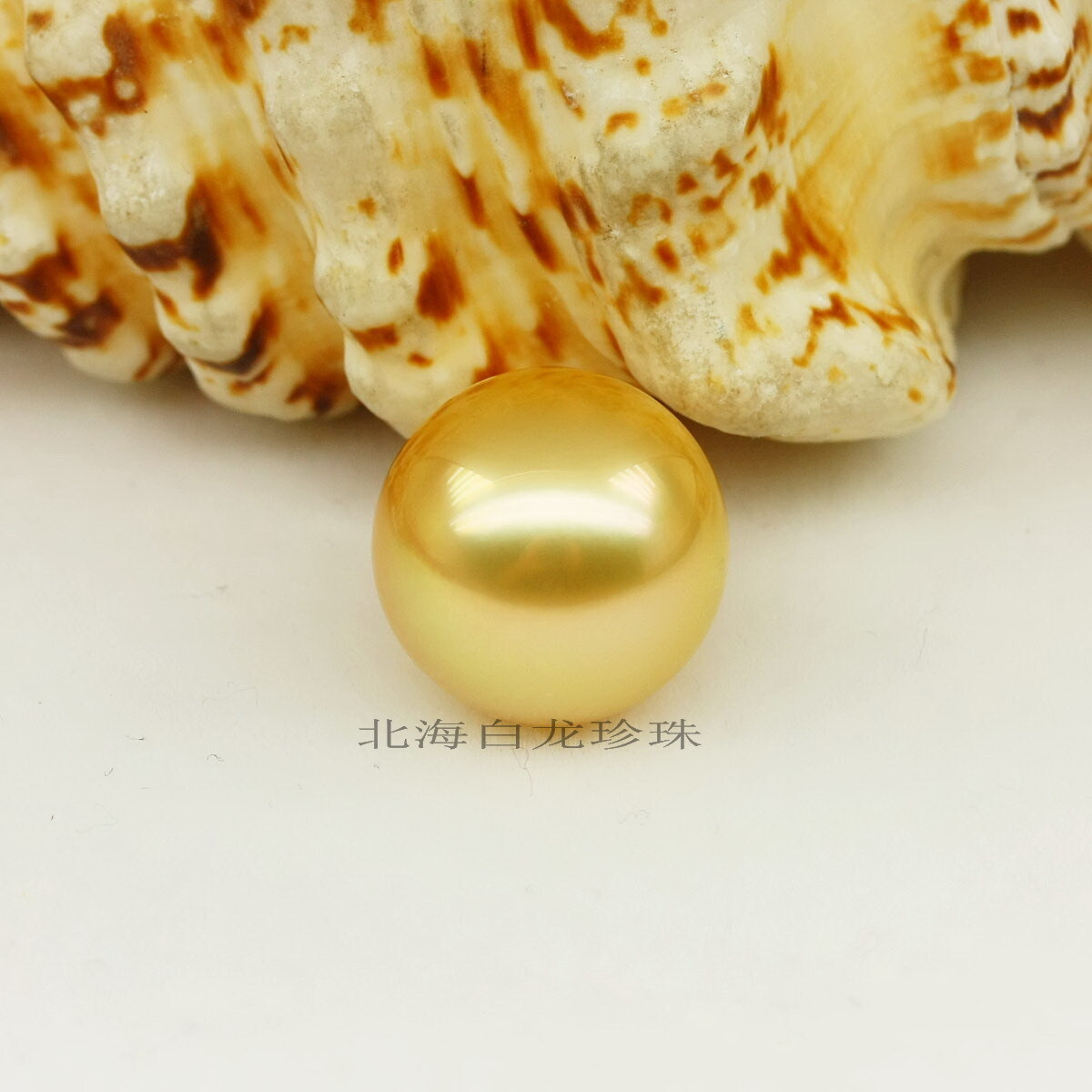 Huge 12mm Natural South Sea Genuine Gold Loose Pearl Undrilled 2093