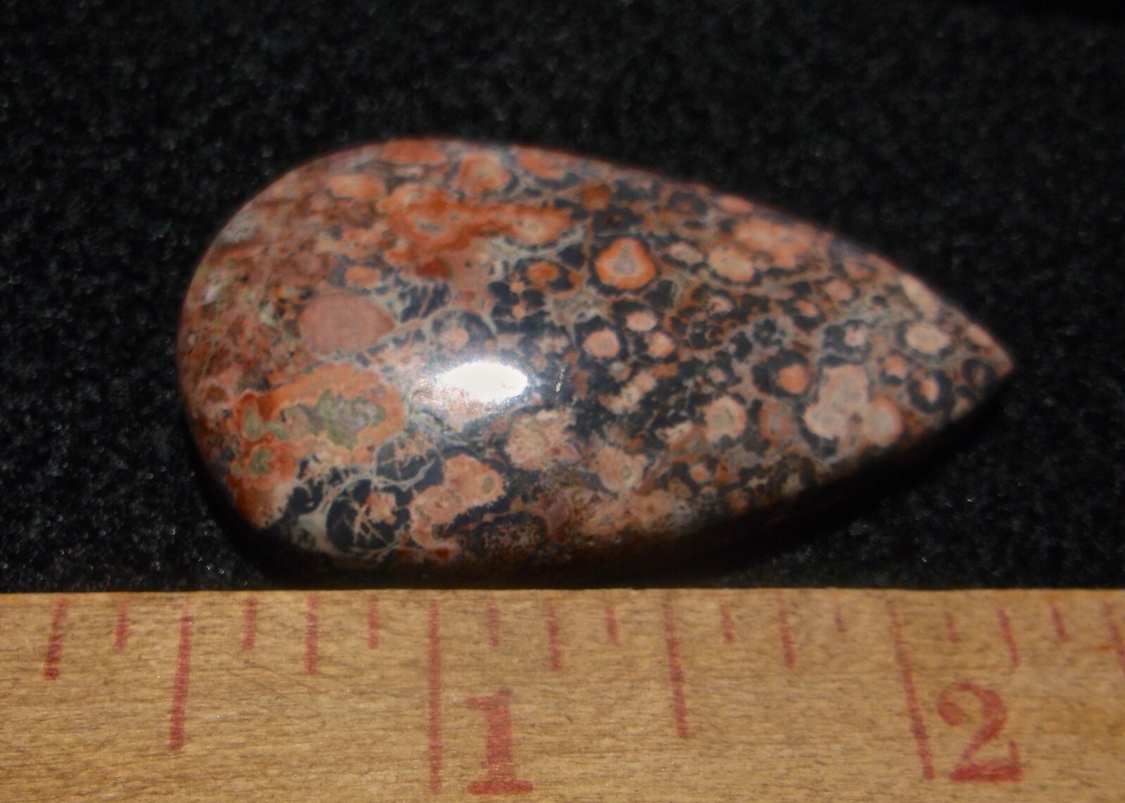 LEOPARD ORBICULAR JASPER VERY STRIKING LARGE CABOCHON 18 GRAMS – 90 AFRICA