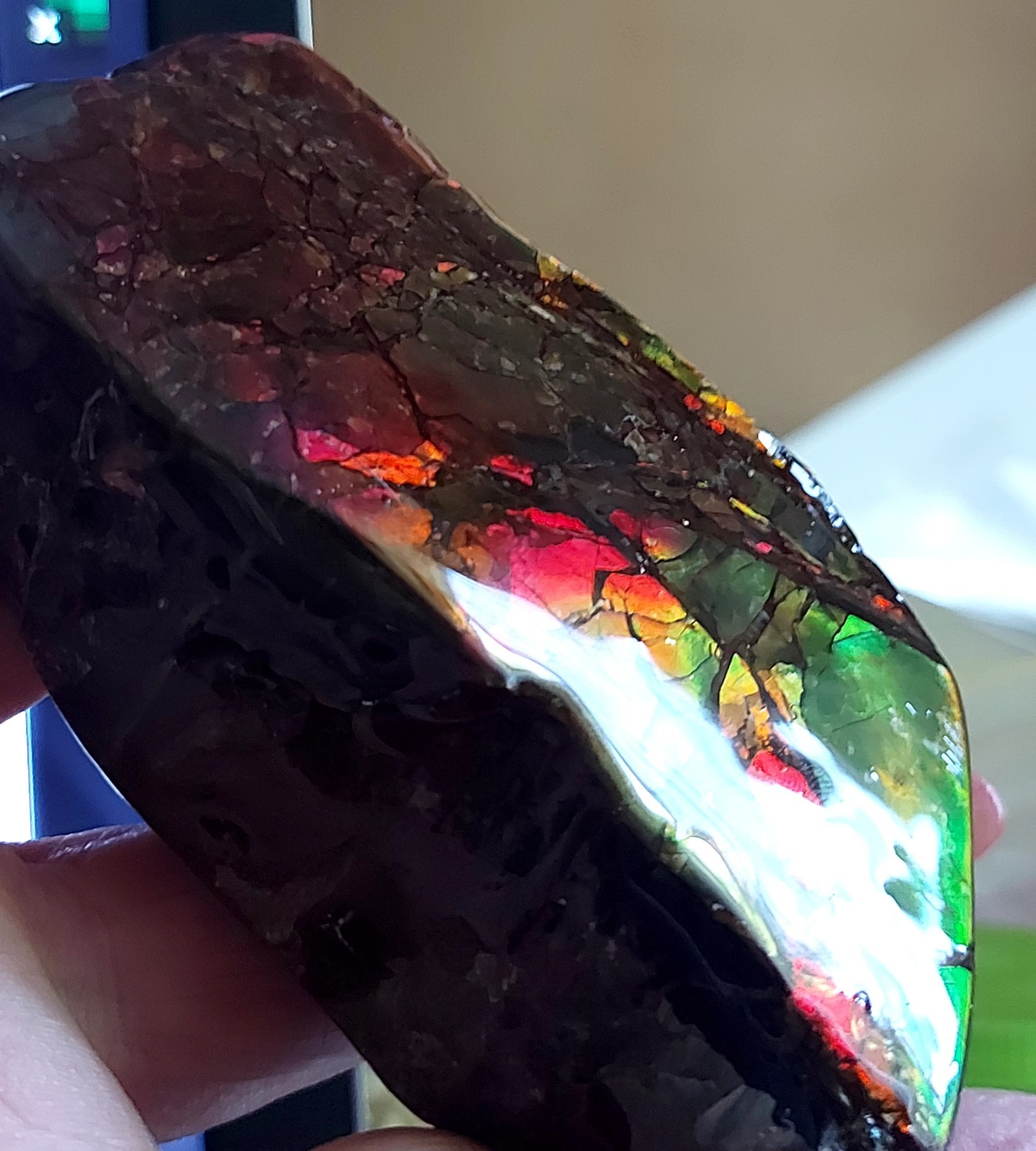 Ammolite Ammonite tabletop Display Piece Color Changer 90.8×56.6x26mm 4050