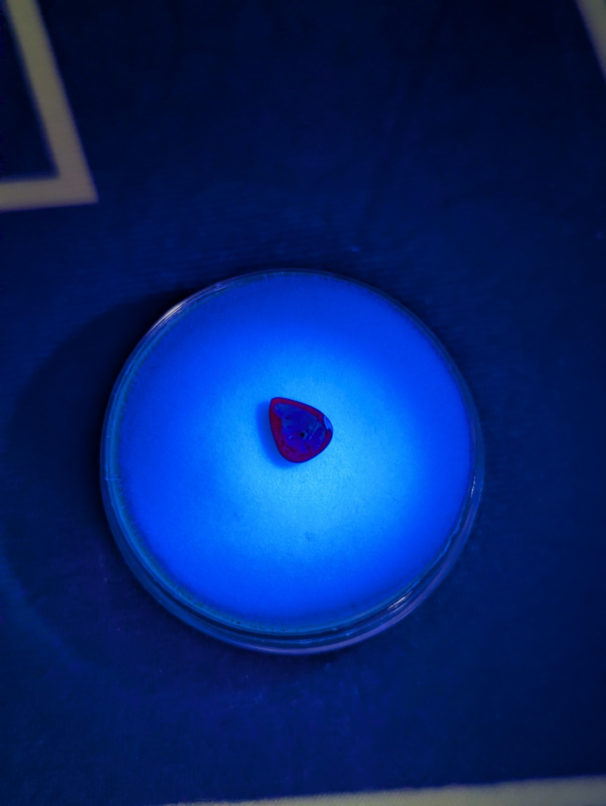 0.37ct 5.3×4.3mm Pear Natural Red Ruby – Unheated, Mozambique Gemstone Loose