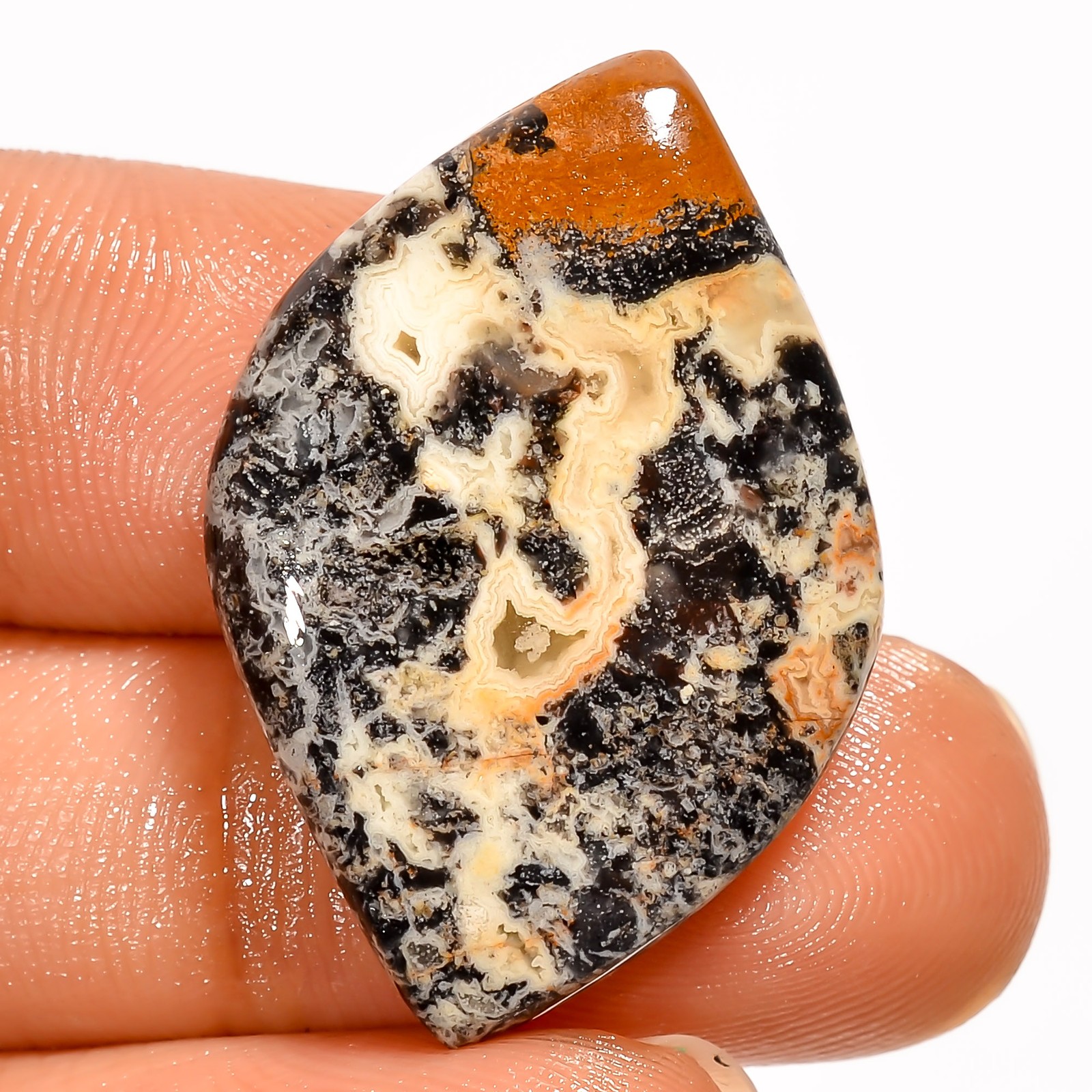 Natural Black Crazy Lace Agate Fancy Cabochon Gemstone 24 Ct 30X20X5 mm GC-43293